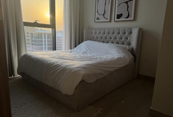 116388734 - Property Image 2