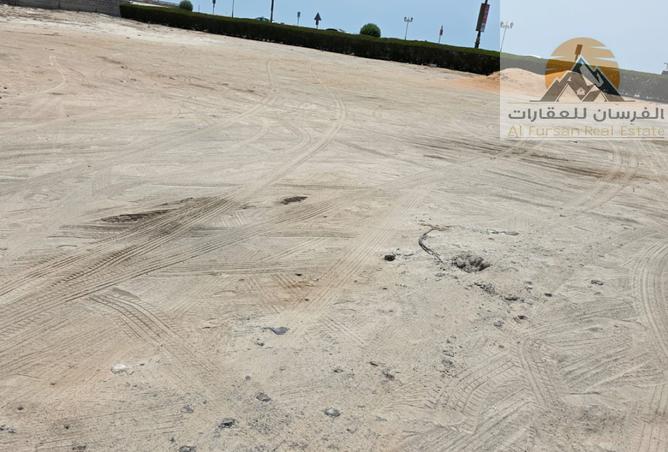 14688113 - صورة العقار 3