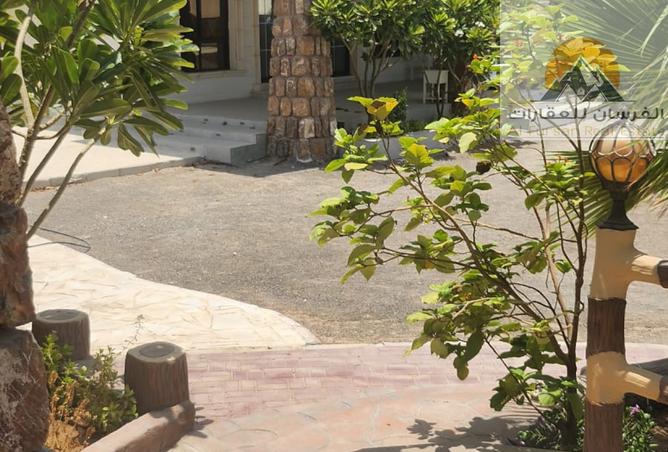 14694535 - صورة العقار 3