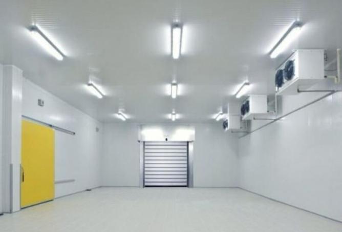 89640555 - Property Image 3