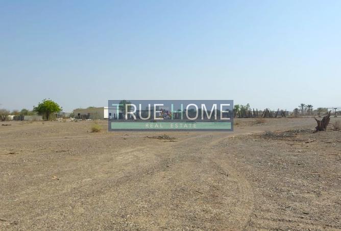 14713727 - الصورة الرئيسية للعقار