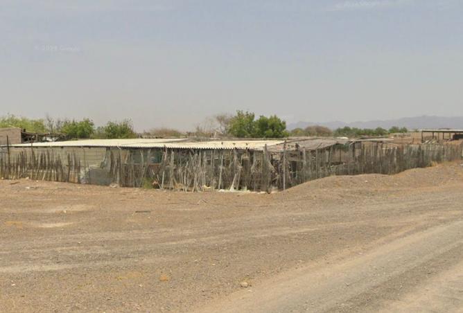 14756818 - صورة العقار 2