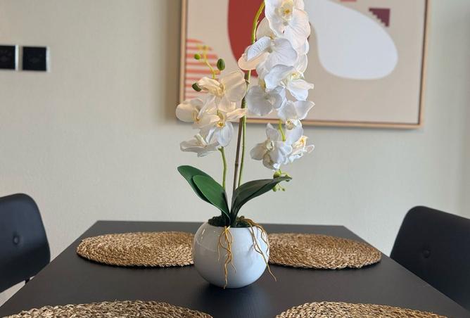 14776356 - Property Image 2