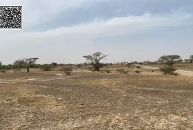 14785581 - صورة العقار 3