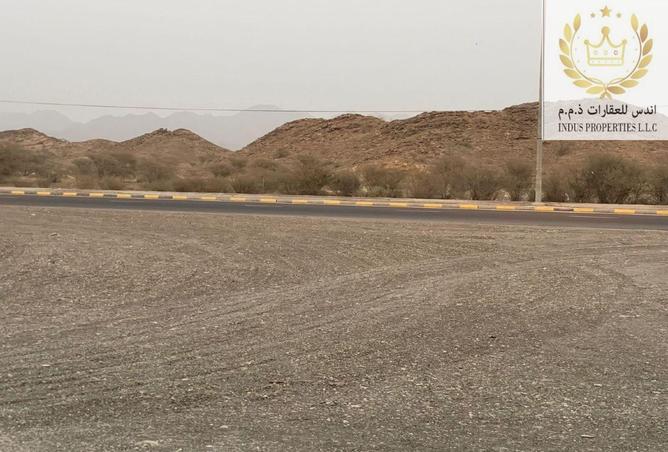 14797501 - Property Image 3