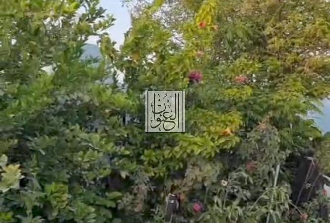 14810038 - Property Image 2