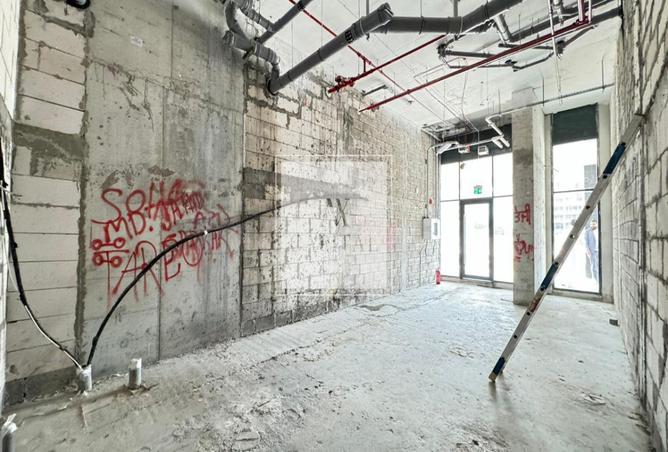 14667104 - Property Image 3