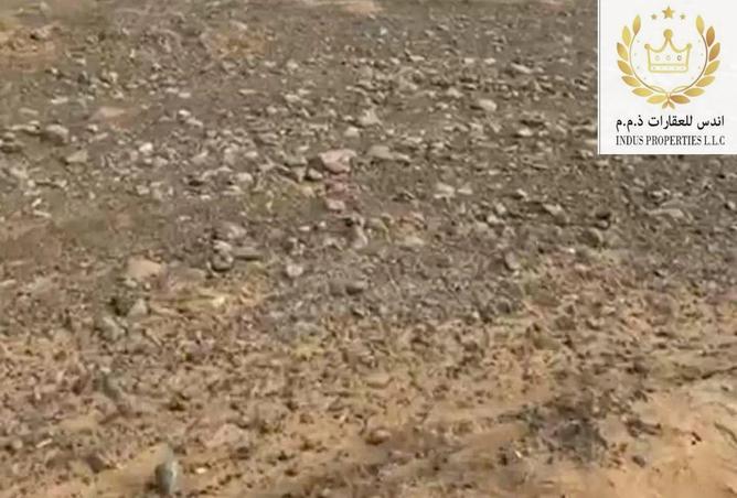 14842170 - صورة العقار 3