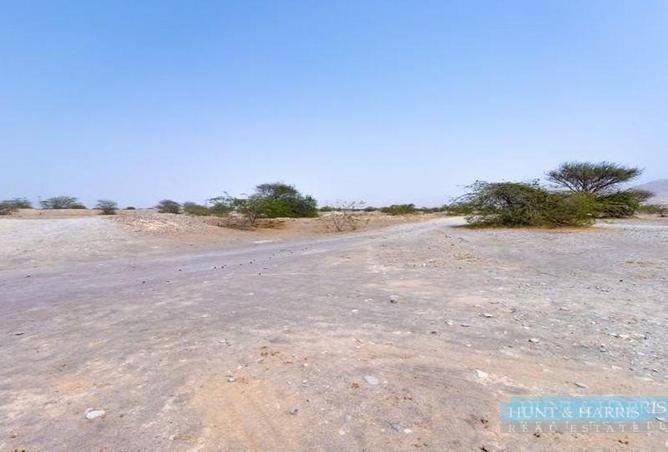 13543476 - Property Image 2