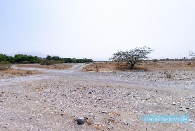 13543476 - Property Main Image