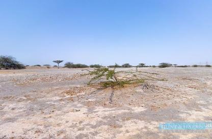 أرض - استوديو للبيع في الصالحية - رأس الخيمة أرض - استوديو للبيع في الصالحية - رأس الخيمة