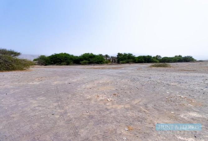 13543476 - صورة العقار 3