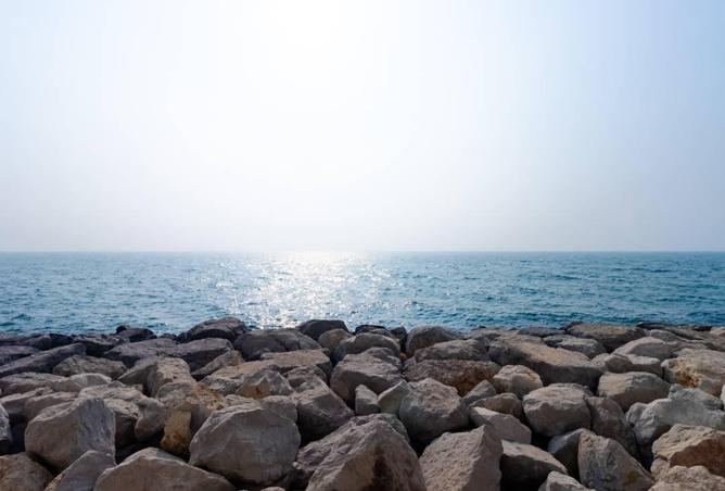 14185450 - صورة العقار 2