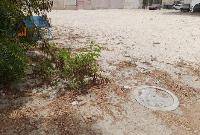 14879242 - Property Image 3