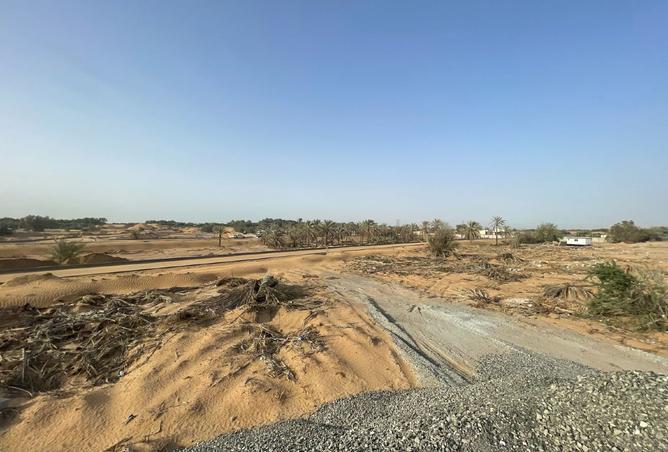 14880492 - صورة العقار 2