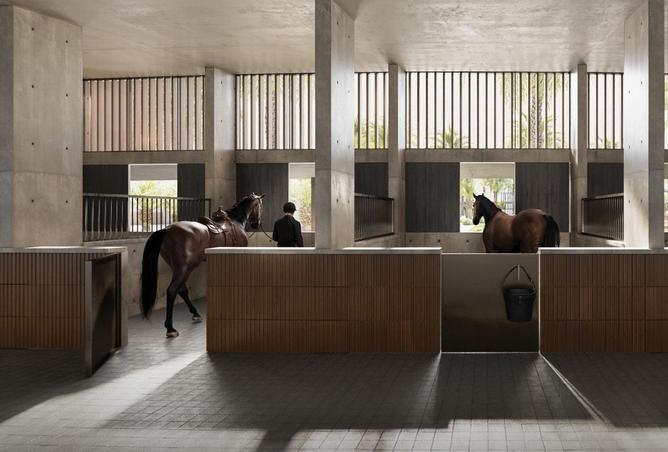 14887175 - صورة العقار 2