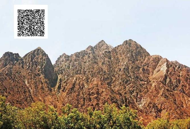 14890621 - صورة العقار 3