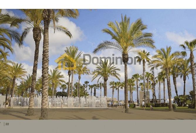 14907130 - Property Image 3