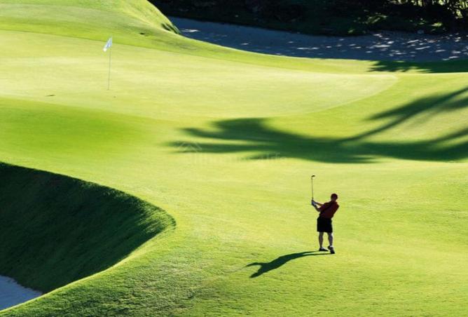 14913509 - صورة العقار 3