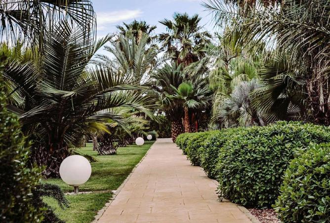 14943819 - صورة العقار 2