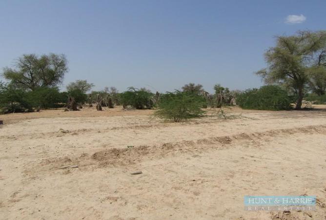 14957580 - صورة العقار 3