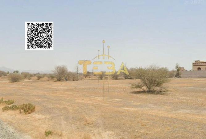 14983536 - Property Image 3