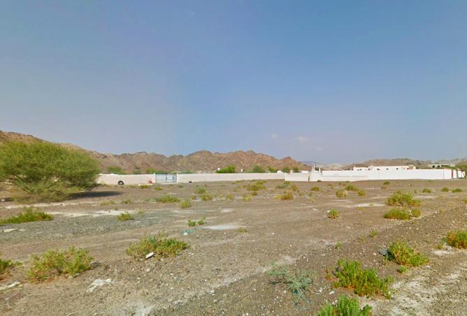 14997244 - صورة العقار 2