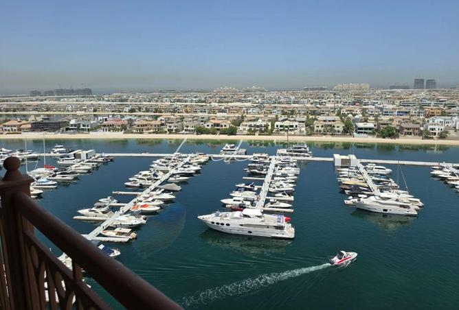 15896122 - Property Image 3