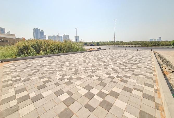 14956228 - Property Image 3