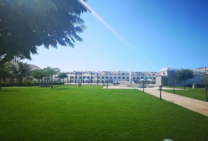 12419890 - Property Image 3