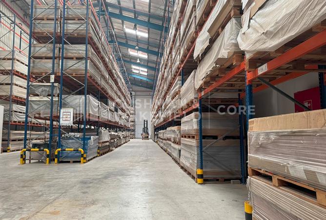 14799256 - صورة العقار 3