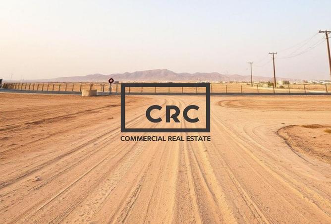 14122426 - صورة العقار 2