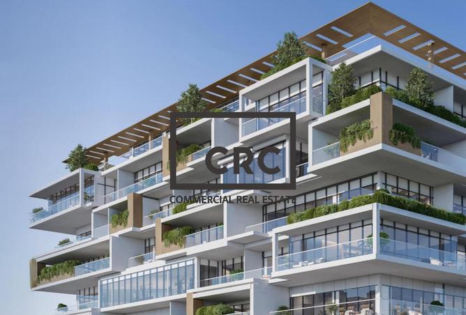 14579677 - Property Image 3