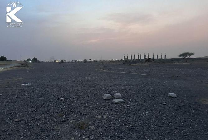 15120958 - Property Image 2