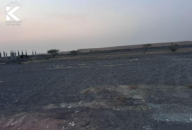 15120958 - Property Image 3