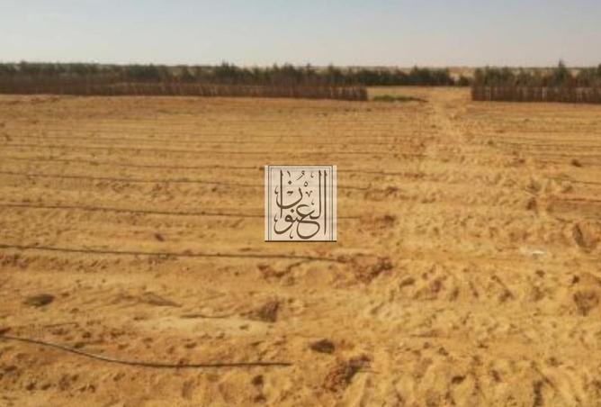 15121520 - صورة العقار 2