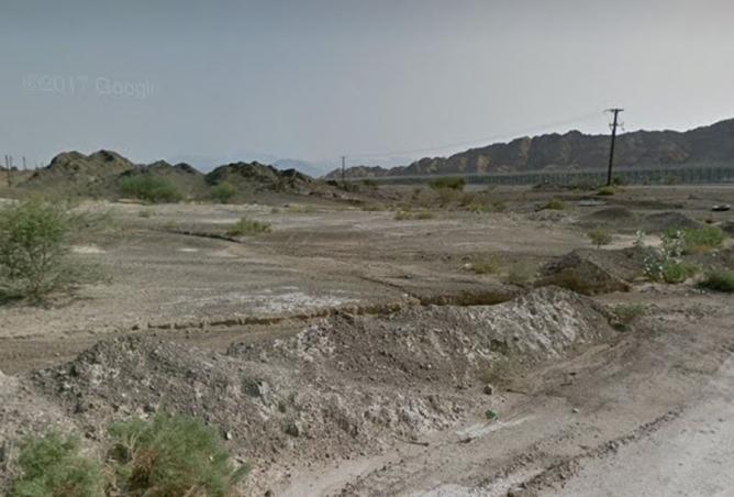 15128834 - Property Image 3