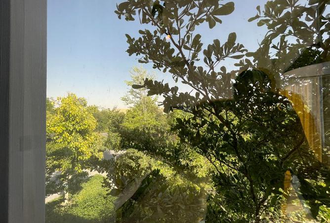 15129952 - صورة العقار 3