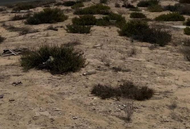 15152048 - Property Main Image