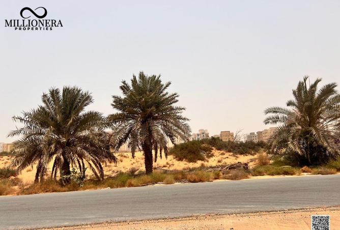 15183006 - صورة العقار 3