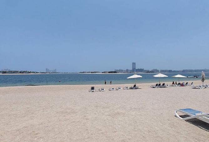 15203376 - صورة العقار 3