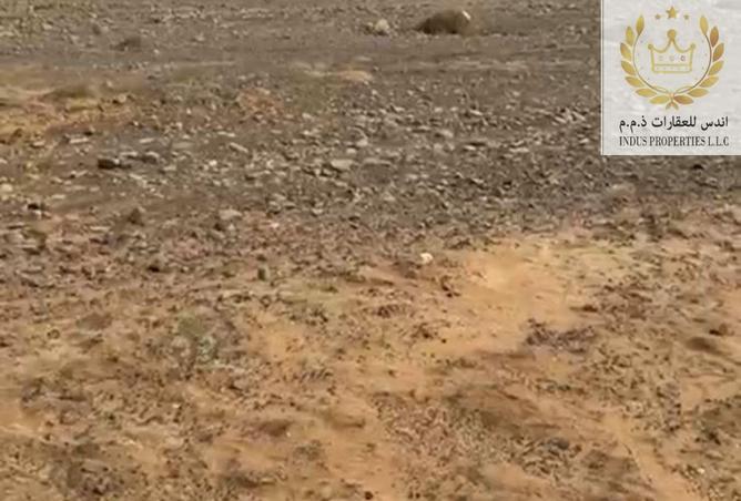 15217892 - صورة العقار 3