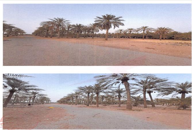 15233521 - صورة العقار 3