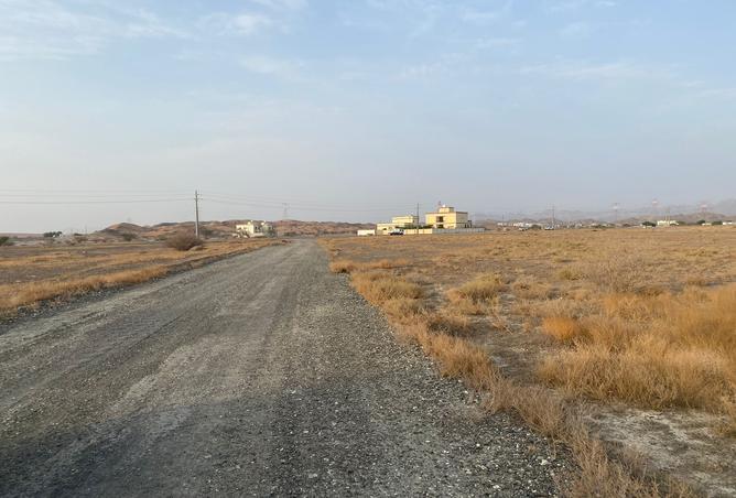 15245964 - Property Image 3