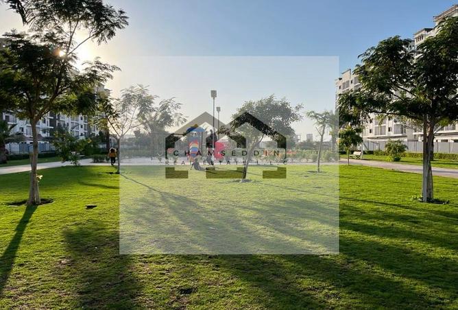 15250380 - صورة العقار 2