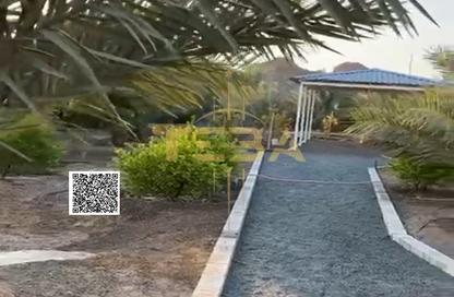 Farm - Studio for sale in Masfoot 1 - Masfoot - Ajman