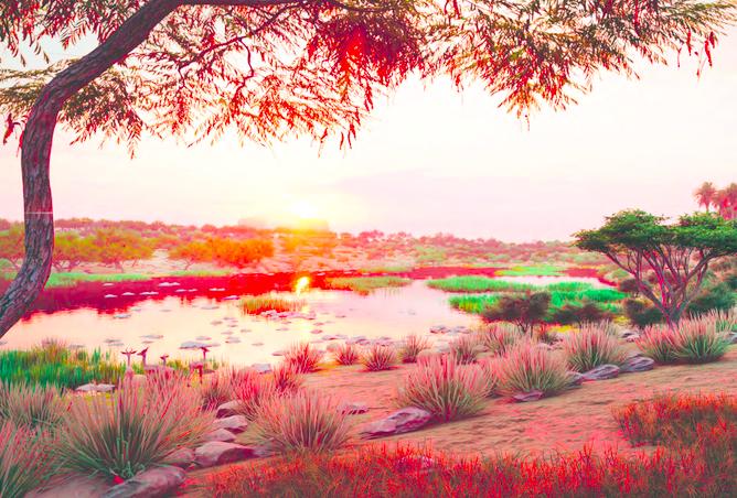 15260801 - صورة العقار 2