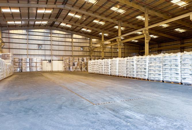 14705508 - صورة العقار 2