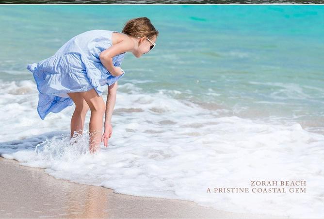 67445572 - Property Image 3