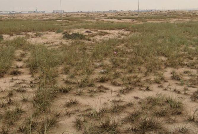 15275559 - صورة العقار 3